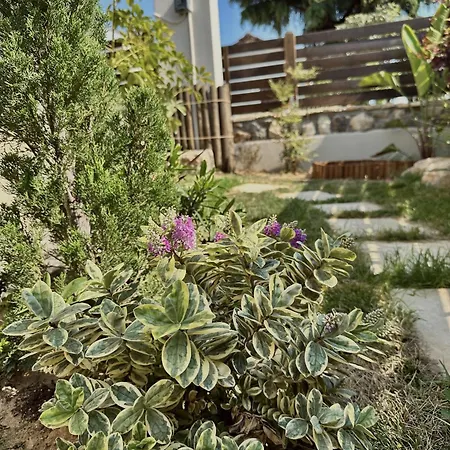 Casa Di Morfi Achille *