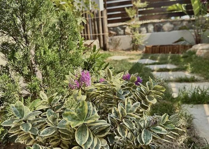 Casa Di Morfi Achille *